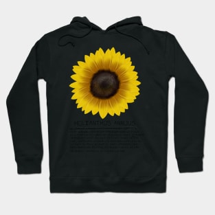 Yellow Sunflower Genus and Description Print Hoodie